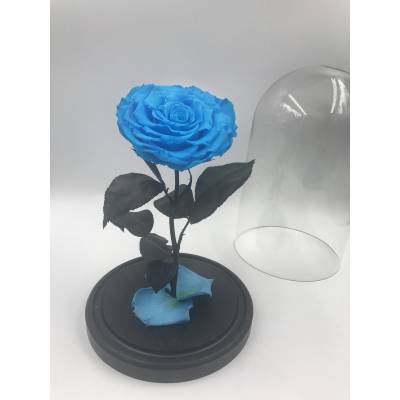 Голубая роза в колбе